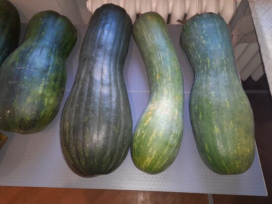 Другие Овощи