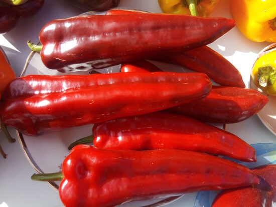 Маркони