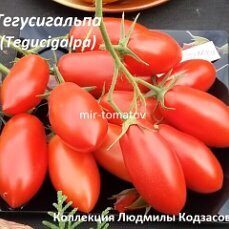 Тегусегальпа