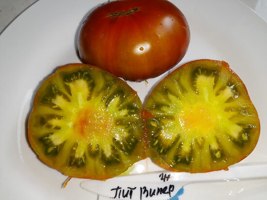 Гном Пит Випер