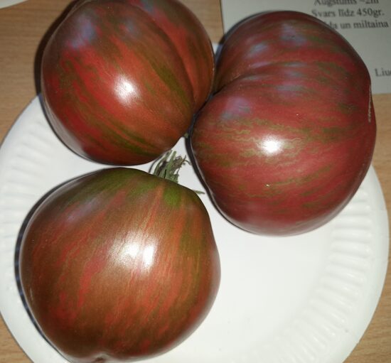 Гном Фиолетовый сердцеед