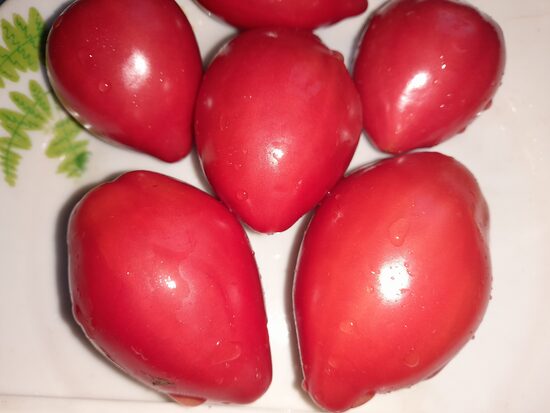 Гном Десперадо