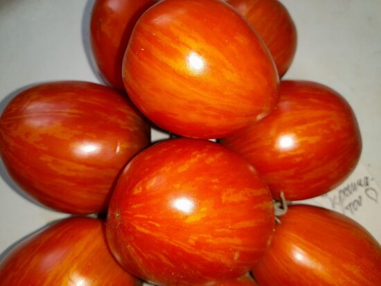 Гном Крапчатое Сердце