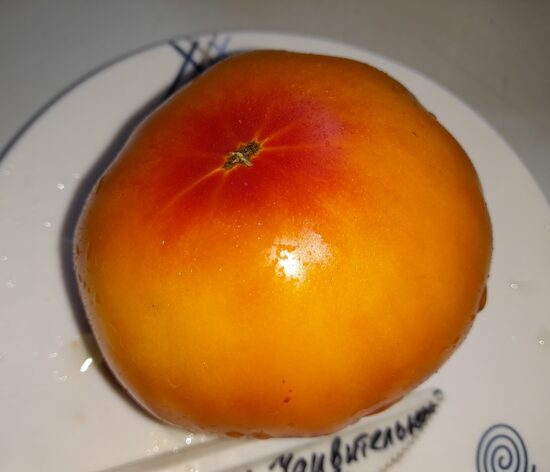 Гном Удивительный