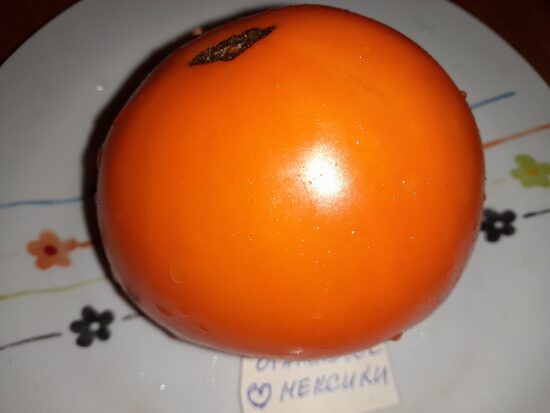 Сердце Мексики