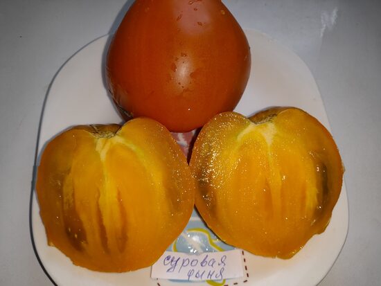 Суровая дыня немцев Поволжья