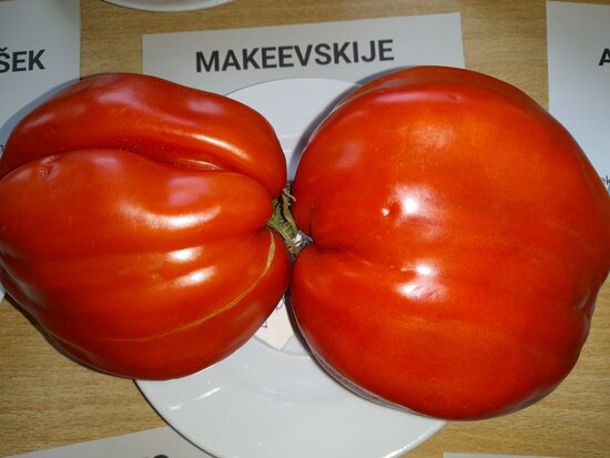 Макеевские