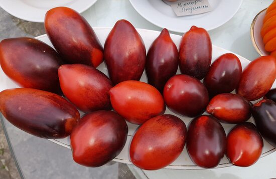 Дерзкий Баклажан