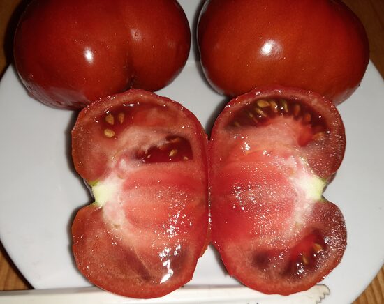 Гном Король Арамис