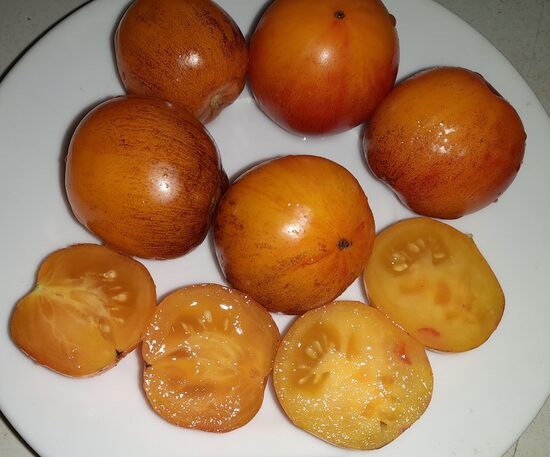 Микрогном Золотой час