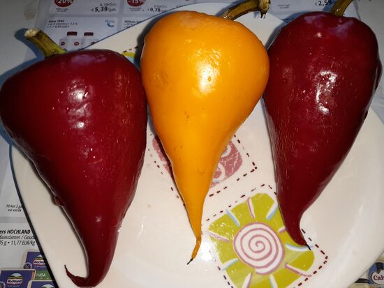 Болгарский перец Леся