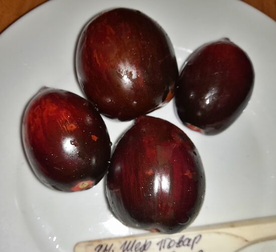 Гном Шеф-повар Рауль