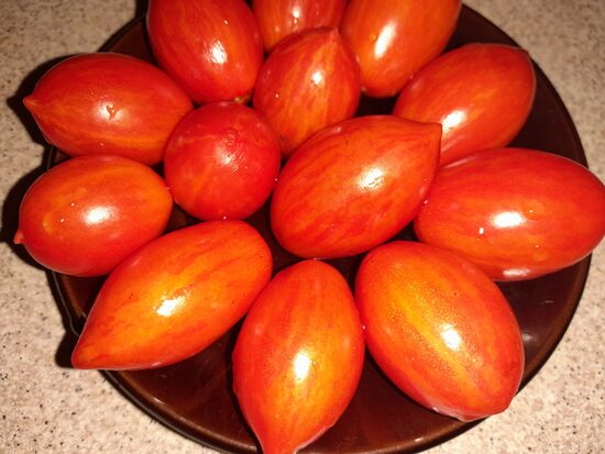 Черри Шершень Мэтта