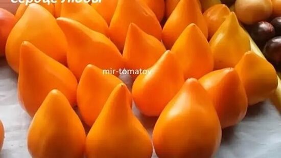 Сердце Любы