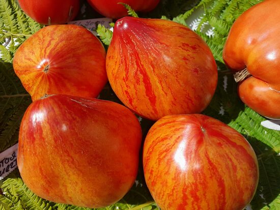 Мечта Людмилы