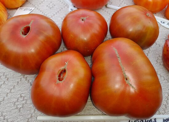 Медная река