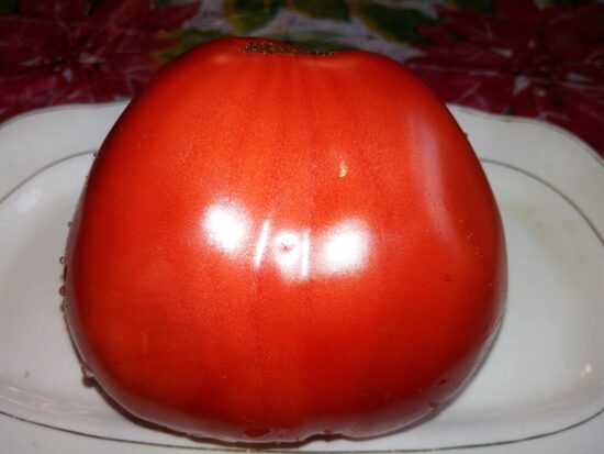 СЕРДЦЕ ЛЮБЫ КРАСНОЕ